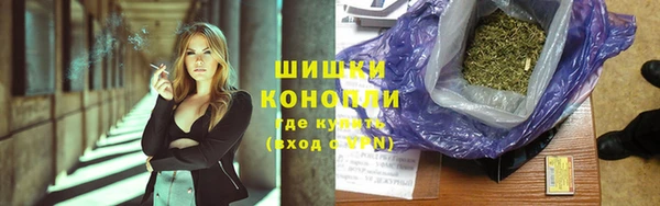 стаф Вяземский