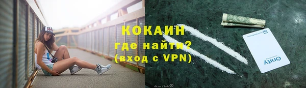 стаф Вяземский