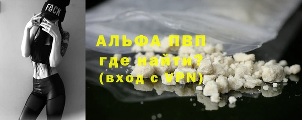 стаф Вяземский