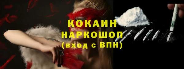 стаф Вяземский