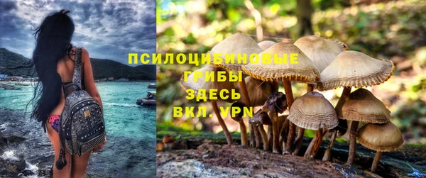 амф Вязники