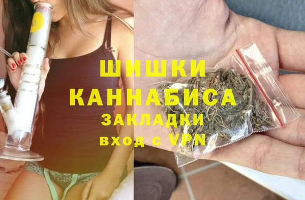 стаф Вяземский