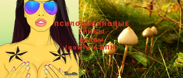 a pvp Вязьма