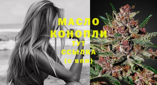 стаф Вяземский
