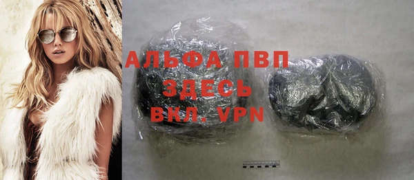 стаф Вяземский