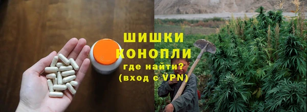 стаф Вяземский