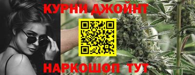 стафф Гусев