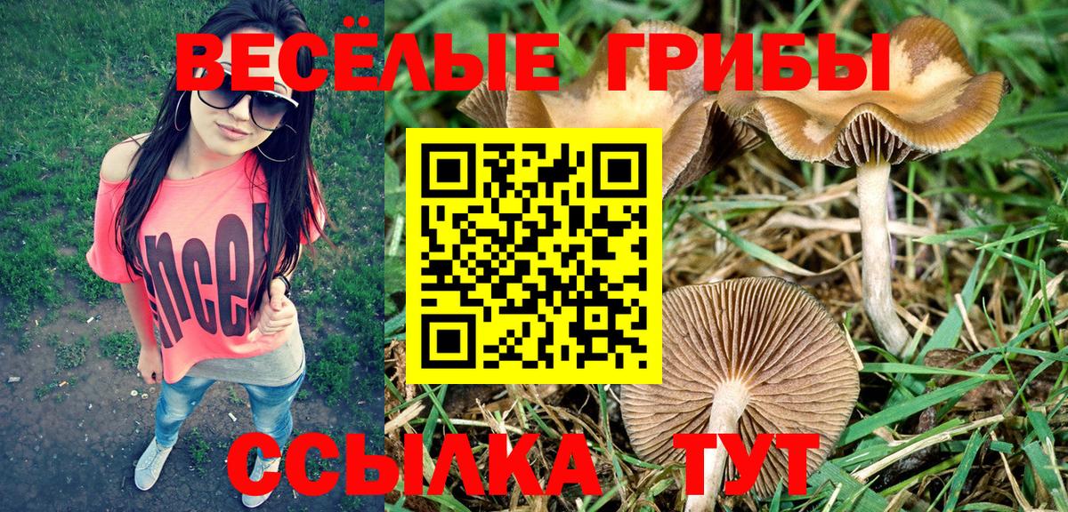 Псилоцибиновые грибы MAGIC MUSHROOMS Майкоп