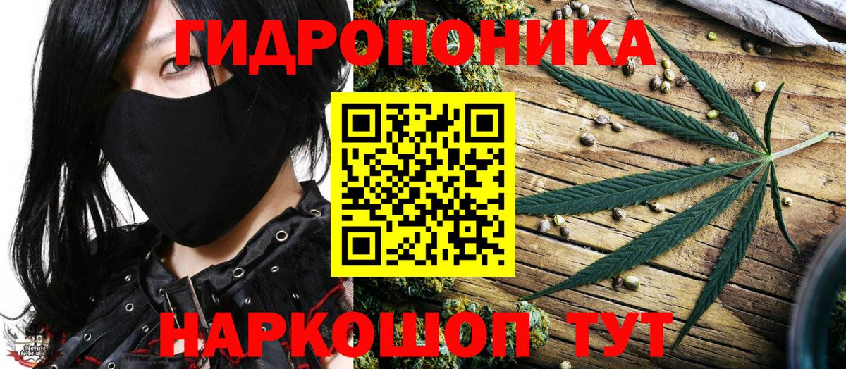 Канабис White Widow  Бошки Шишки индика  Майкоп  Вход с VPN 